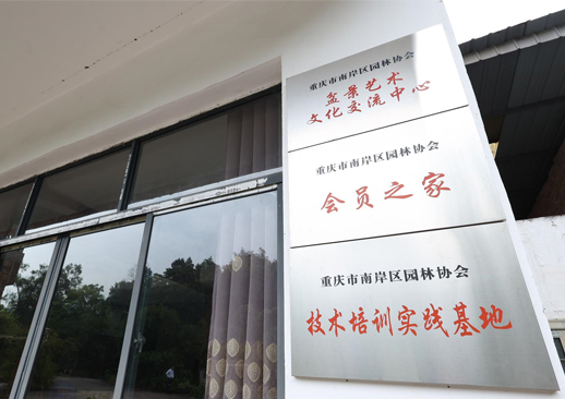 11年专业服务经验