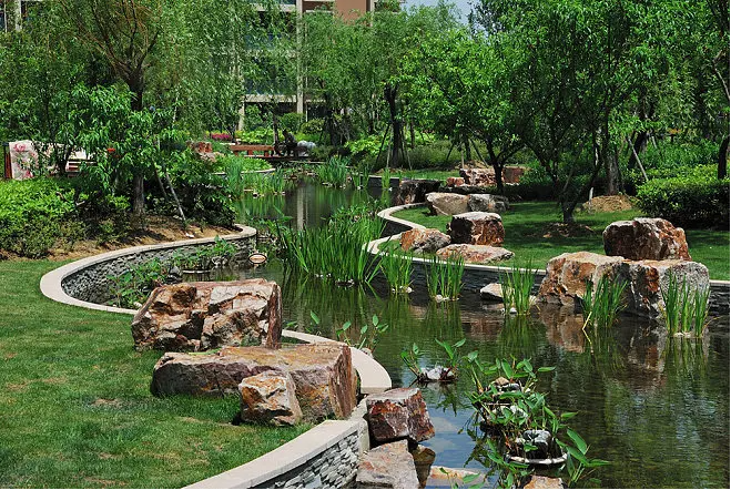 城市绿化的三大误区你知道吗？