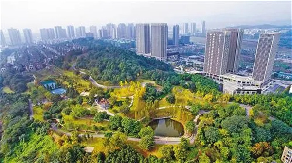 南坪商圈绿化养护