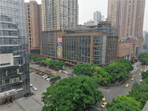 南坪商圈绿化养护