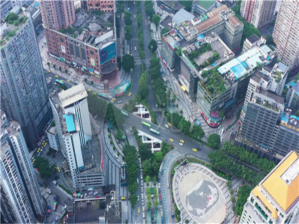 南坪商圈绿化养护